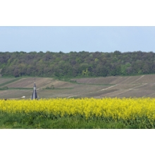 VALEUR VENALE DES TERRES AGRICOLES