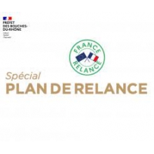 PLAN DE RELANCE
