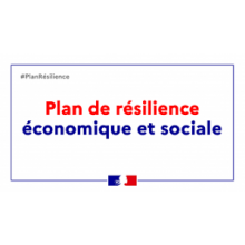 PLAN DE RESILIENCE