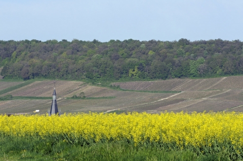 VALEUR VENALE DES TERRES AGRICOLES