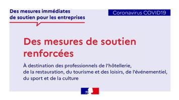 MESURES DE SOUTIEN AUX ENTREPRISES