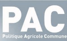PAC