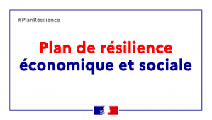 PLAN DE RESILIENCE